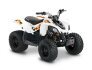 2022 Can-Am DS 90 for sale 201173277